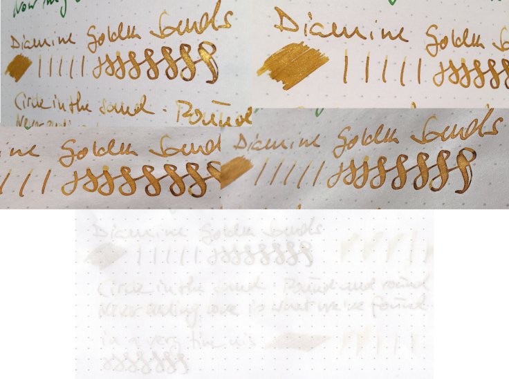 wp_shim_golden_sands